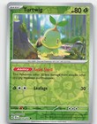 Turtwig