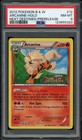 Arcanine