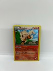 Arcanine