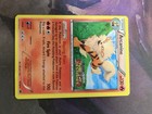 Arcanine