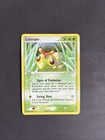 Caterpie