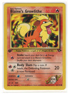 Blaine's Growlithe