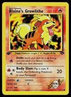Blaine's Growlithe