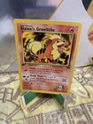 Blaine's Growlithe