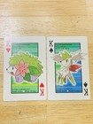 Shaymin V