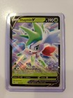Shaymin V