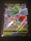 Shaymin V