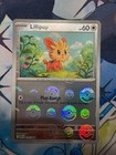 Lillipup