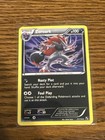 Zoroark