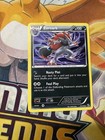Zoroark