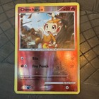 Chimchar