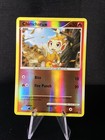 Chimchar