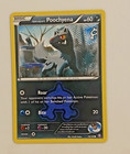Team Aqua's Poochyena