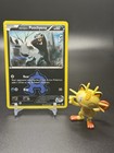 Team Aqua's Poochyena