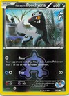 Team Aqua's Poochyena