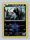 Team Aqua's Poochyena