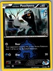 Team Aqua's Poochyena
