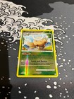 Shedinja