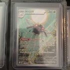Ninjask