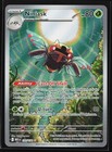 Ninjask
