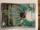 Ninjask
