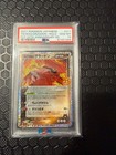 Team Magma’s Groudon