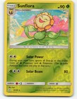 Sunflora