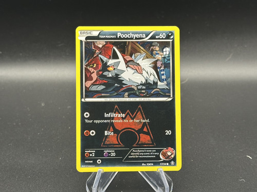 Team Magma's Poochyena
