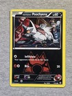 Team Magma's Poochyena