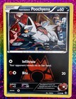 Team Magma's Poochyena
