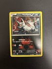 Team Magma's Poochyena