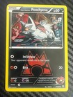 Team Magma's Poochyena