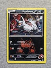 Team Magma's Poochyena