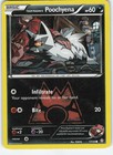 Team Magma's Poochyena