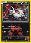 Team Magma's Poochyena