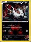 Team Magma's Poochyena