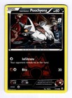 Team Magma's Poochyena
