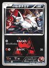 Team Magma's Poochyena
