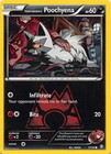 Team Magma's Poochyena