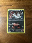 Team Magma's Poochyena