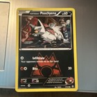 Team Magma's Poochyena
