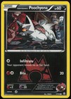 Team Magma's Poochyena