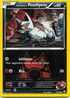 Team Magma's Poochyena