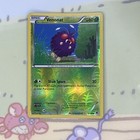 Venonat