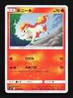 Ponyta