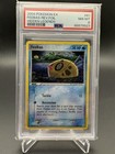 Feebas