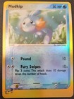 Mudkip
