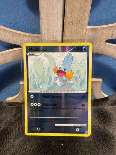 Mudkip