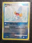 Mudkip