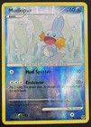 Mudkip